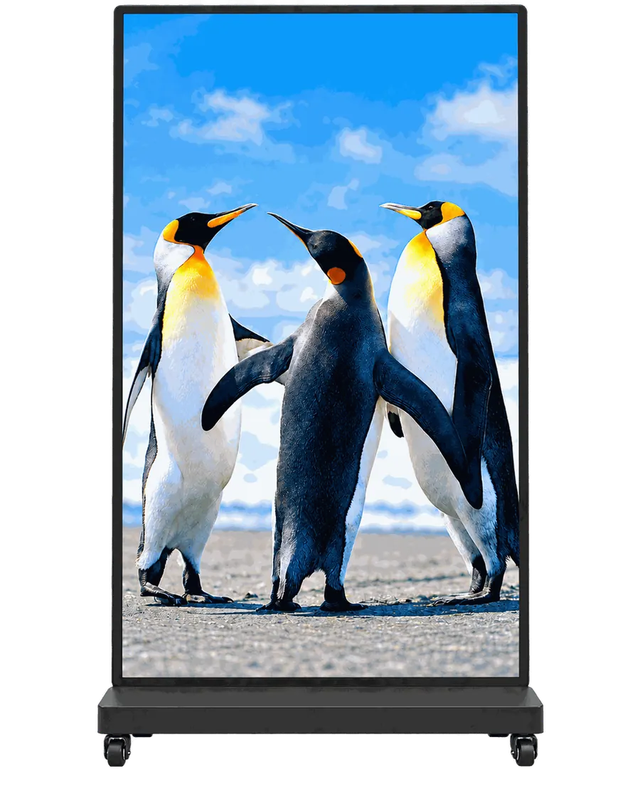 Painel modular P1.8 – 1 módulo • Totem